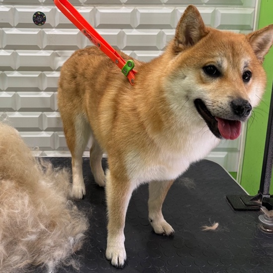 Обслуживание автомобиля