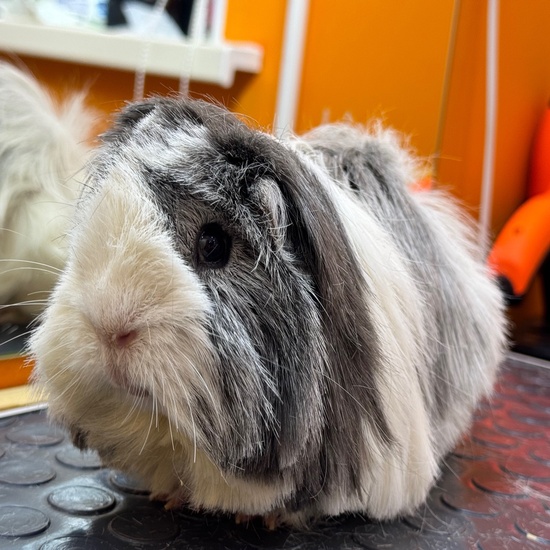 Обслуживание автомобиля